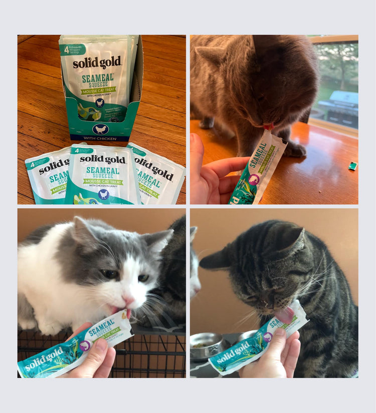 Cat Treats
