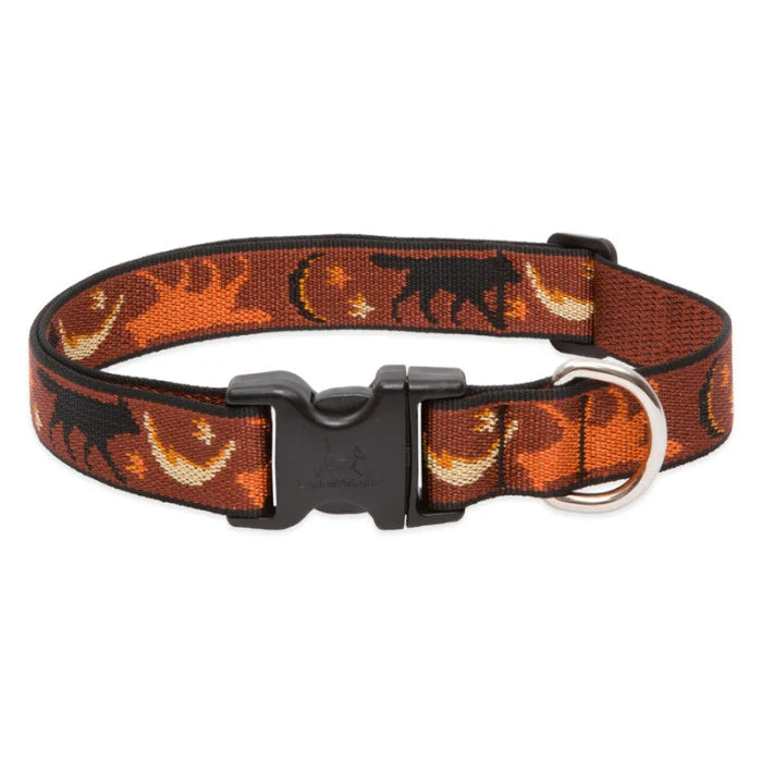 Lupine Originals 1" Dog Collars