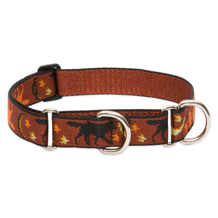 Lupine Originals 1" MARTINGALE Dog Collar
