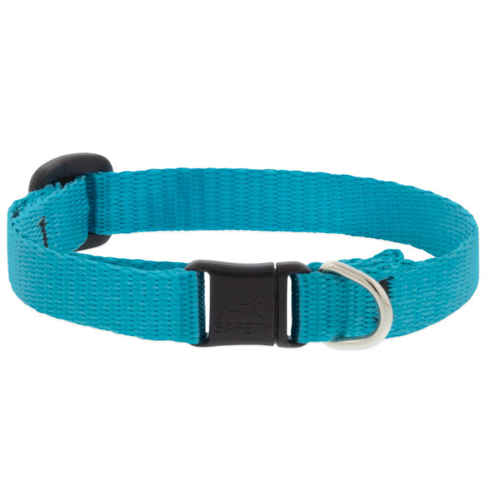 Lupine Basics 1/2" 8"-12" CAT Collar with safety buckle NO BELL