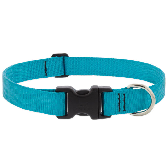 Lupine Basics 3/4" 15"-25" Dog Collar