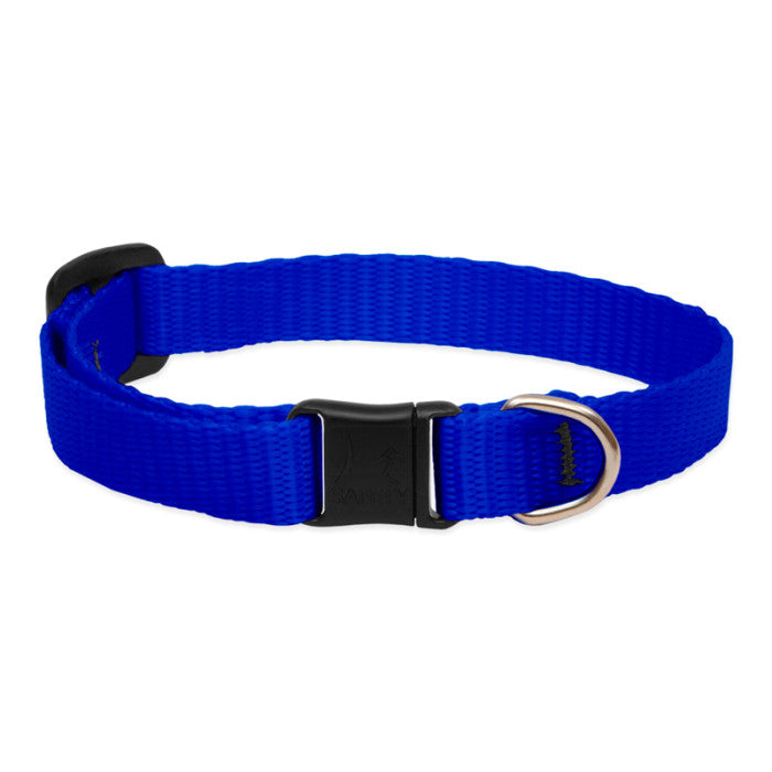 Lupine Basics 1/2" 8"-12" CAT Collar with safety buckle NO BELL
