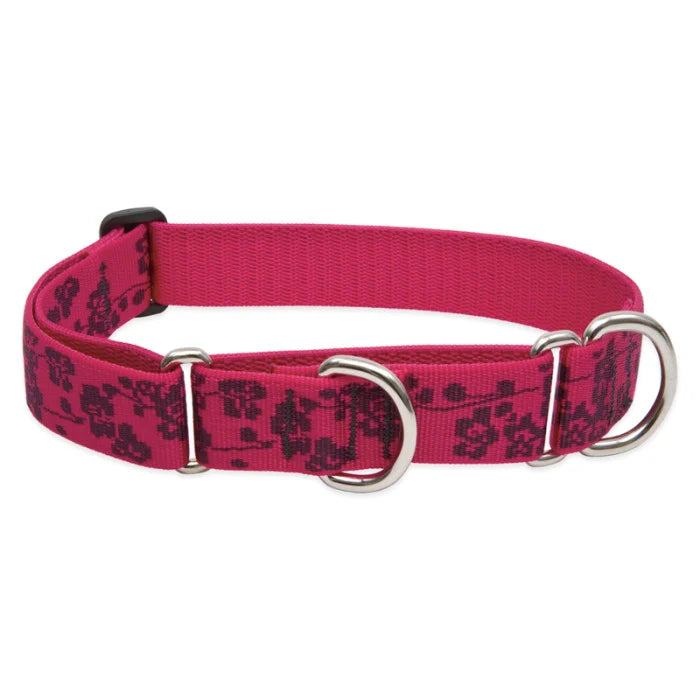 Lupine Originals 1" MARTINGALE Dog Collar