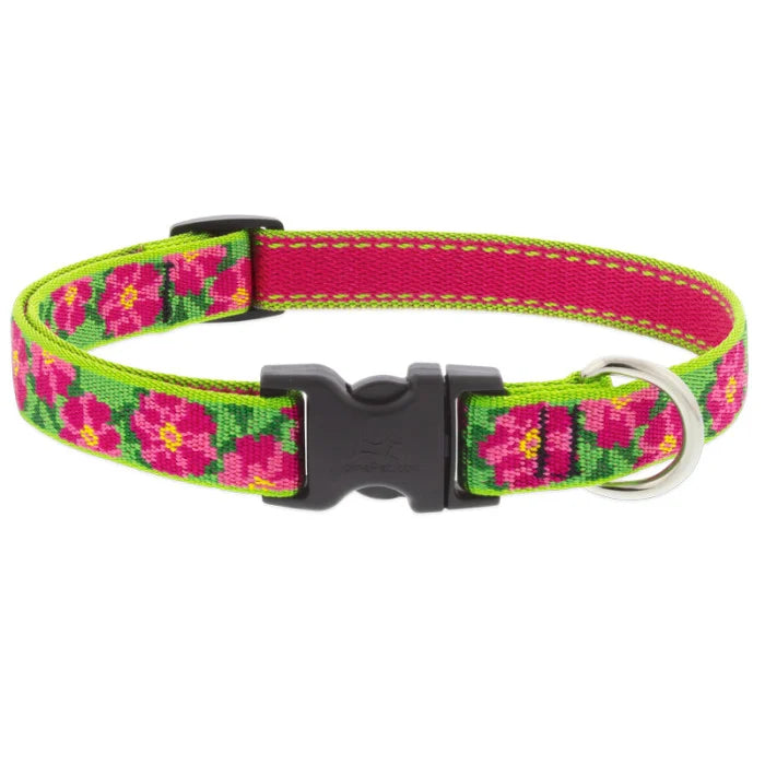 Lupine Originals 3/4" Dog Collars