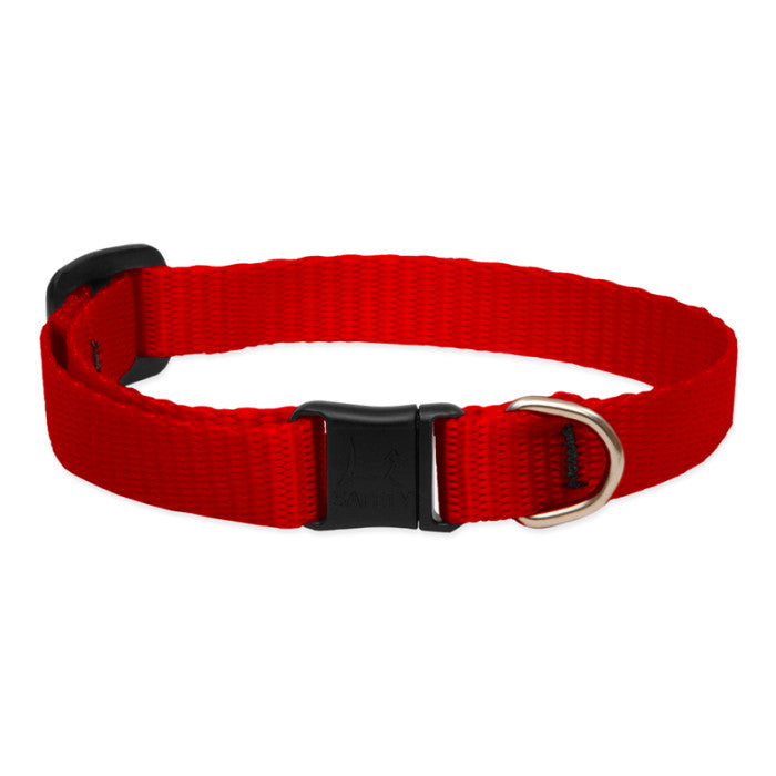Lupine Basics 1/2" 8"-12" CAT Collar with safety buckle NO BELL