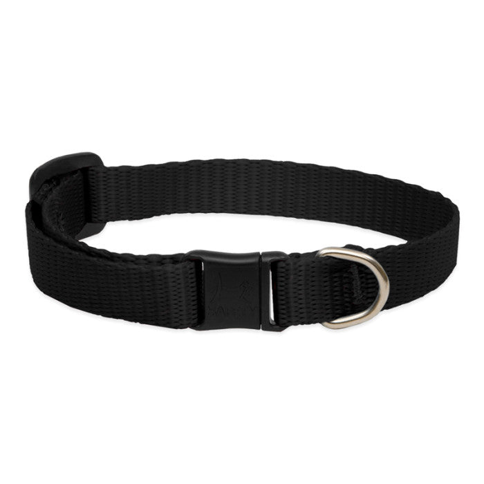 Lupine Basics 1/2" 8"-12" CAT Collar with safety buckle NO BELL