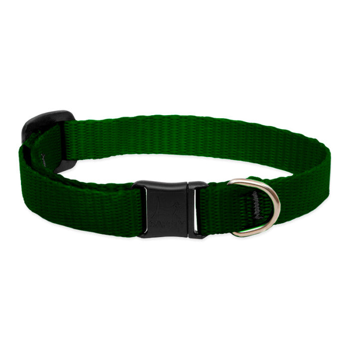 Lupine Basics 1/2" 8"-12" CAT Collar with safety buckle NO BELL
