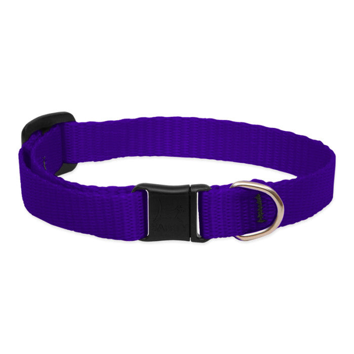 Lupine Basics 1/2" 8"-12" CAT Collar with safety buckle NO BELL