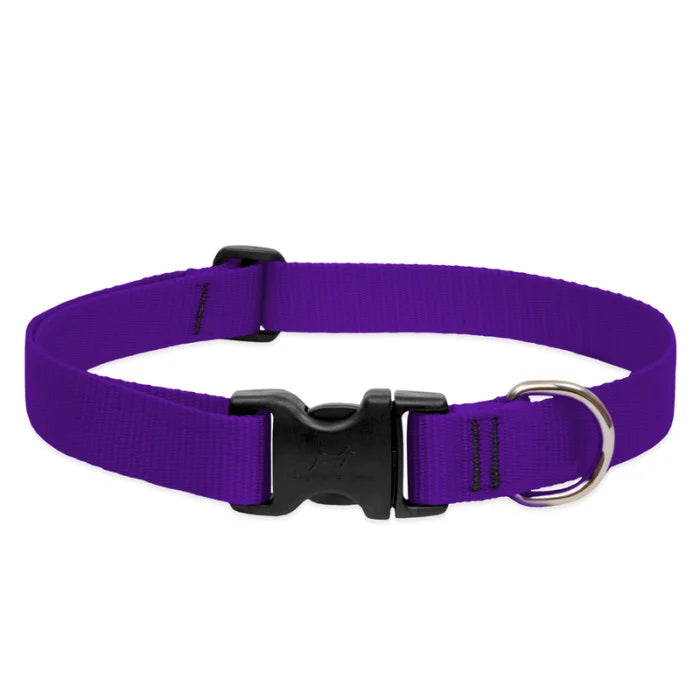 Lupine Basics 1/2" 6"-9" Dog Collar
