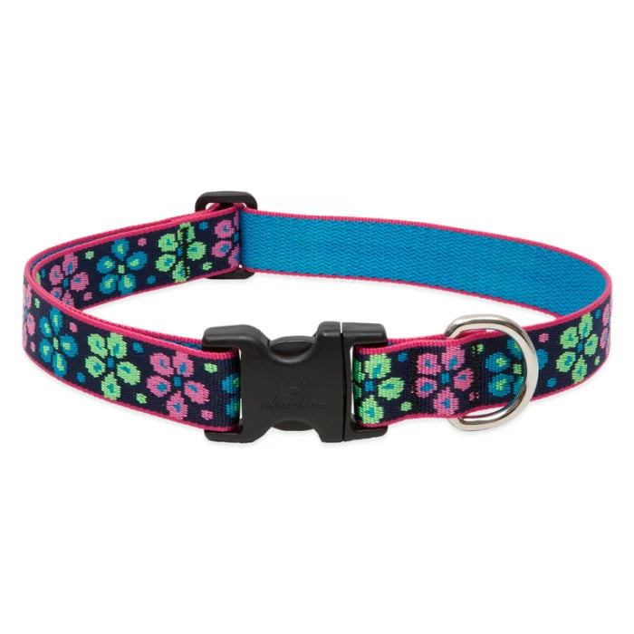 Lupine Originals 1" Dog Collars
