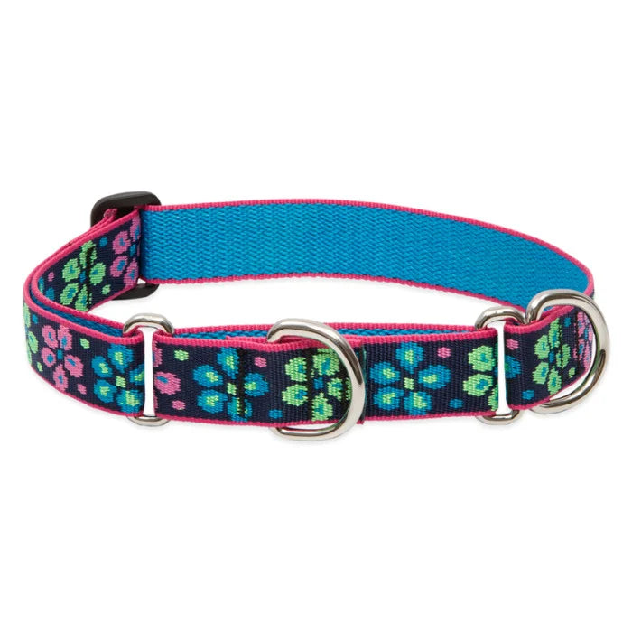 Lupine Originals 1" MARTINGALE Dog Collar