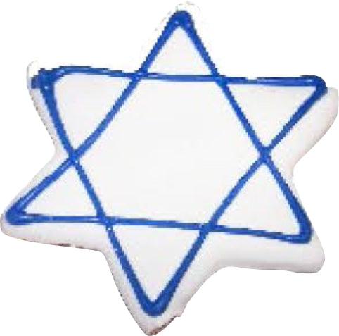 Preppy Puppy Star of David