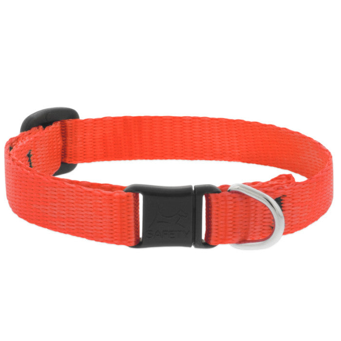 Lupine Basics 1/2" 8"-12" CAT Collar with safety buckle NO BELL