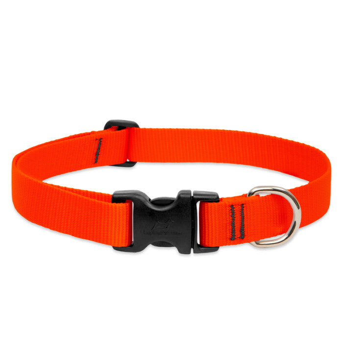 Lupine Basics 1" 16"-28" Dog Collar