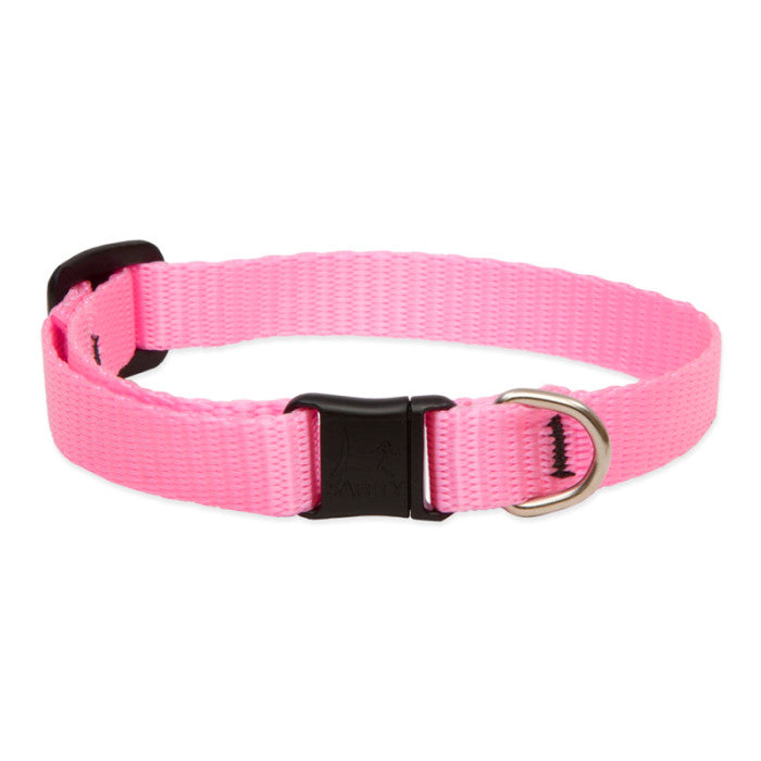 Lupine Basics 1/2" 8"-12" CAT Collar with safety buckle NO BELL