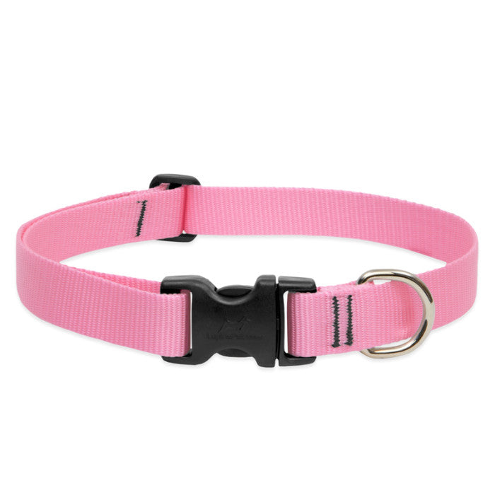 Lupine Basics 1/2" 6"-9" Dog Collar