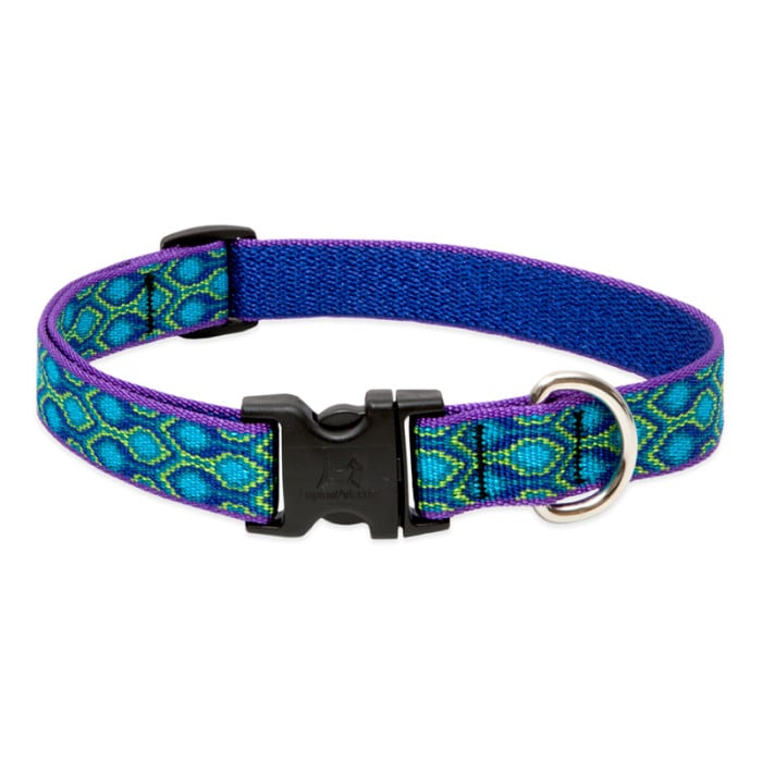 Lupine Originals 3/4" Dog Collars