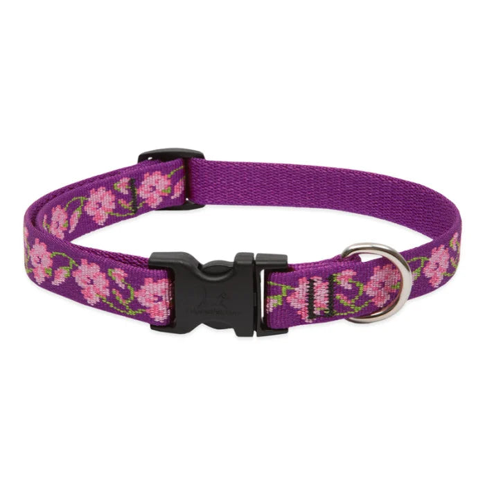 Lupine Originals 3/4" Dog Collars