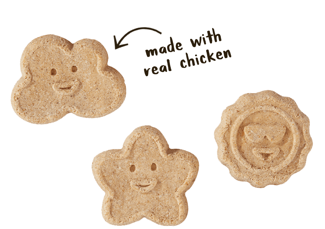 OVEN BAKED BISCUITS: CHICKEN & SWEET POTATOES (GRAIN FREE)