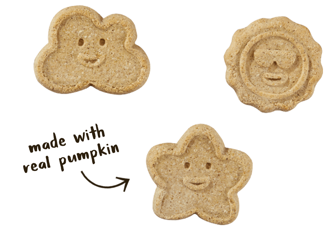 OVEN BAKED BISCUITS: PUMPKIN (GRAIN FREE)