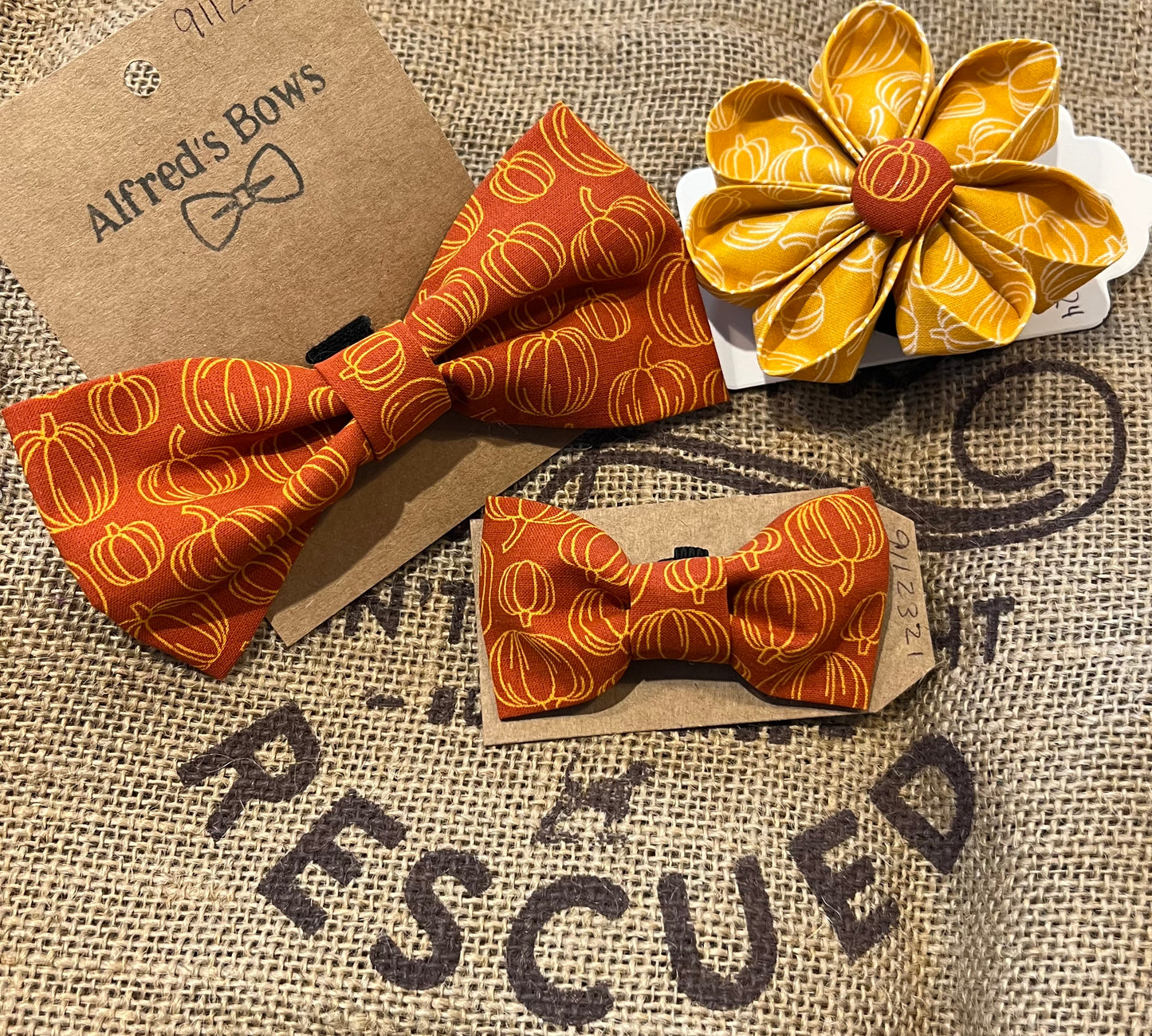 Alfred's Bows "Harvest Pumpkin" Medium Bow