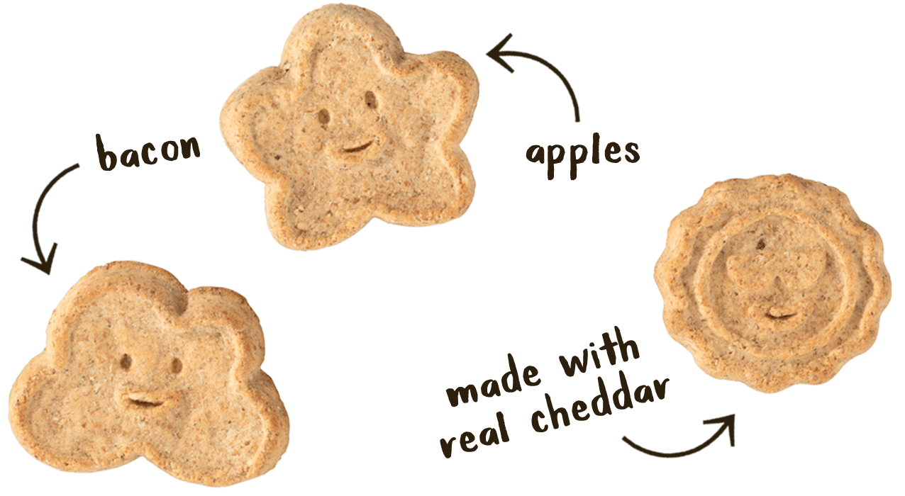 OVEN BAKED BISCUITS: BACON, CHEESE & APPLES