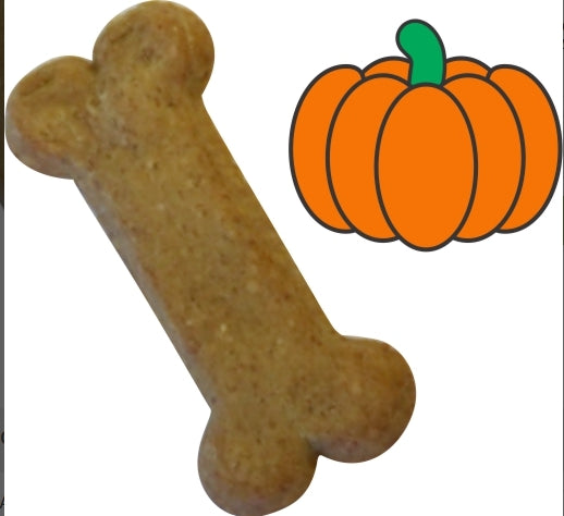 Preppy Puppy Pumpkin