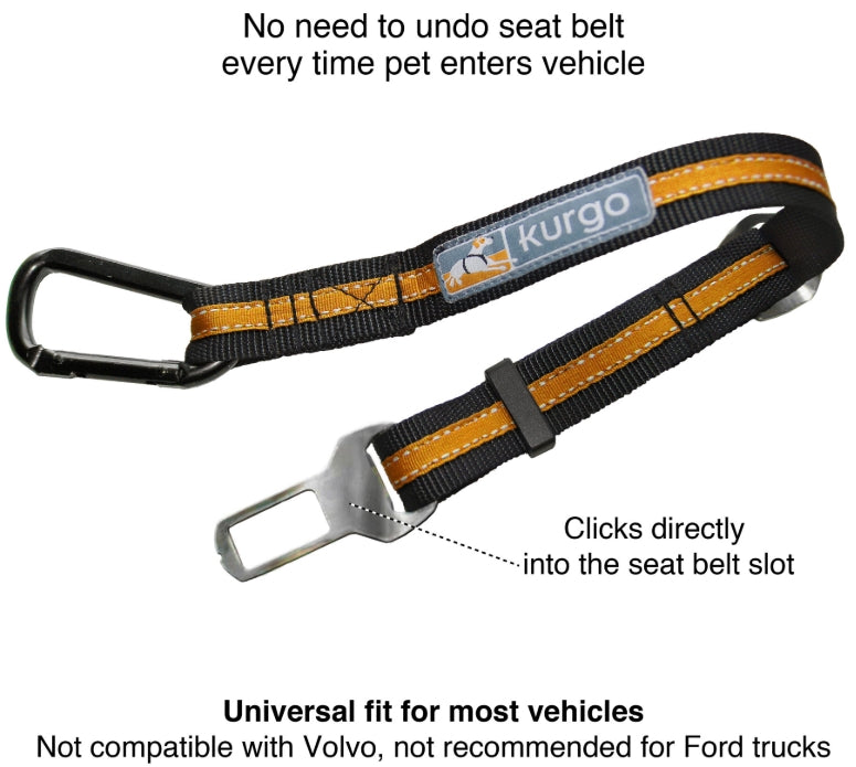 Direct to Seatbelt Tether
