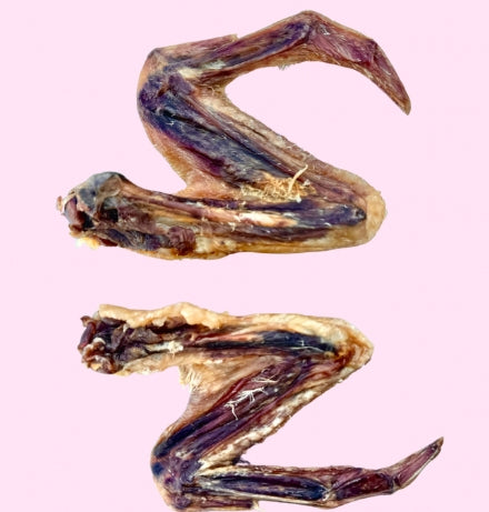Duck Wings