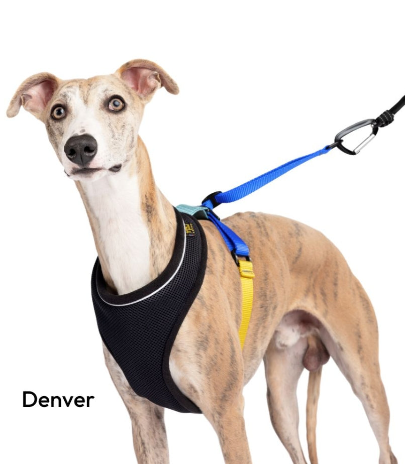Featherweight Harness (Special Order)