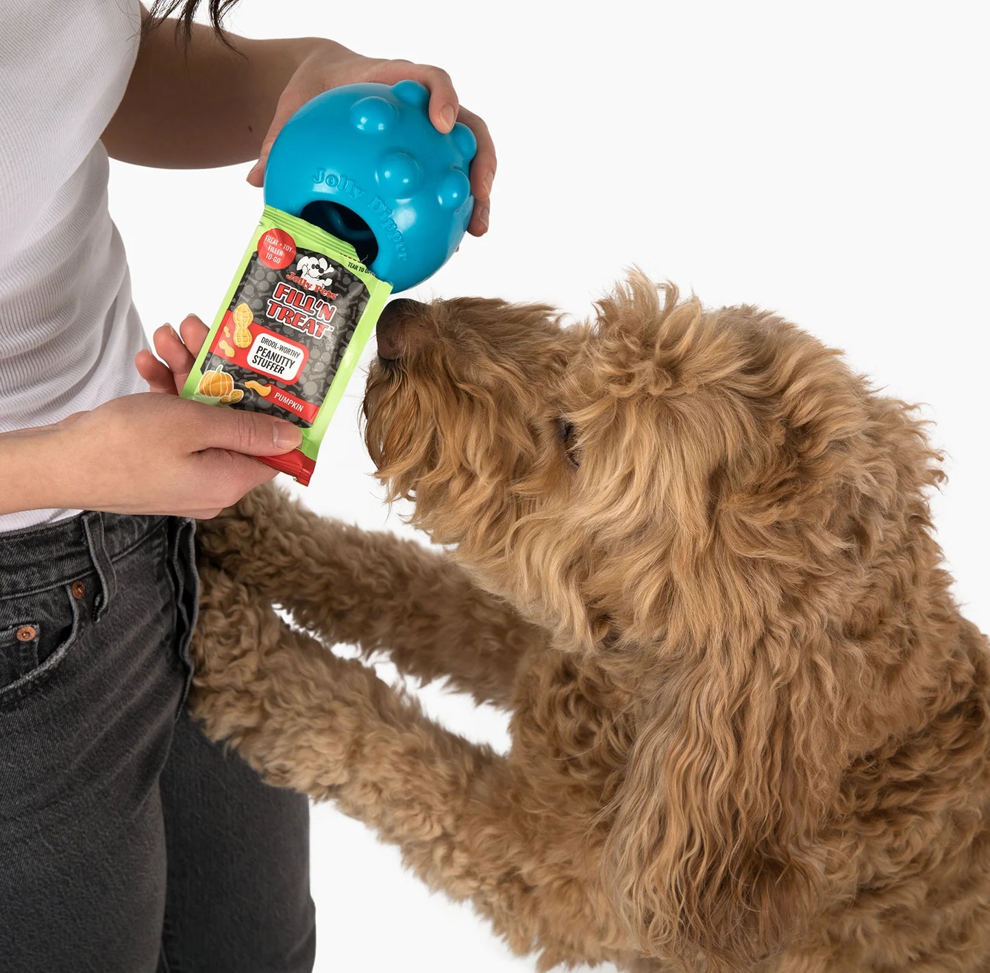 JOLLY PETS FILL'N TREAT™ PUMPKIN PEANUT BUTTER
