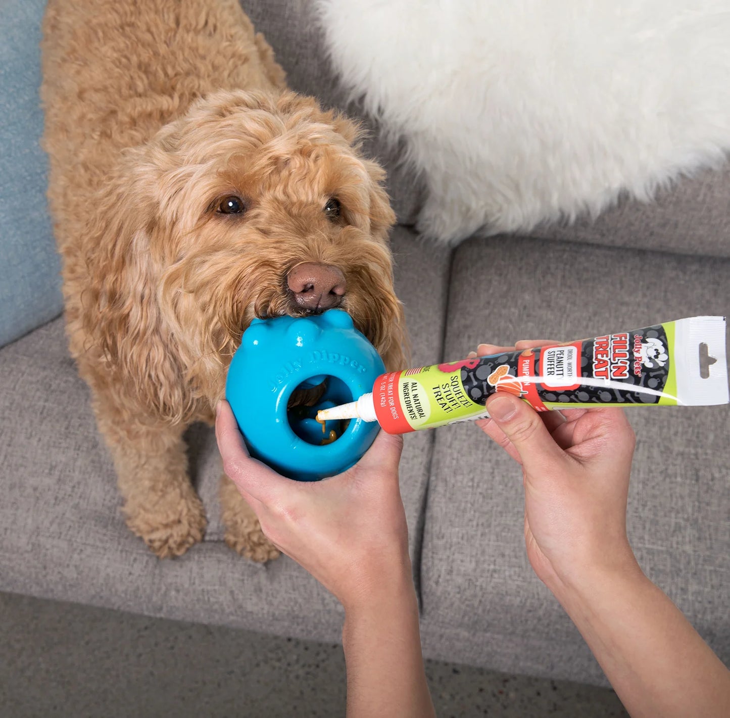 JOLLY PETS FILL'N TREAT™ PUMPKIN PEANUT BUTTER