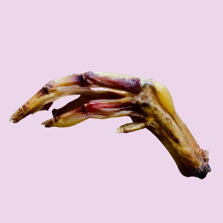 duck foot