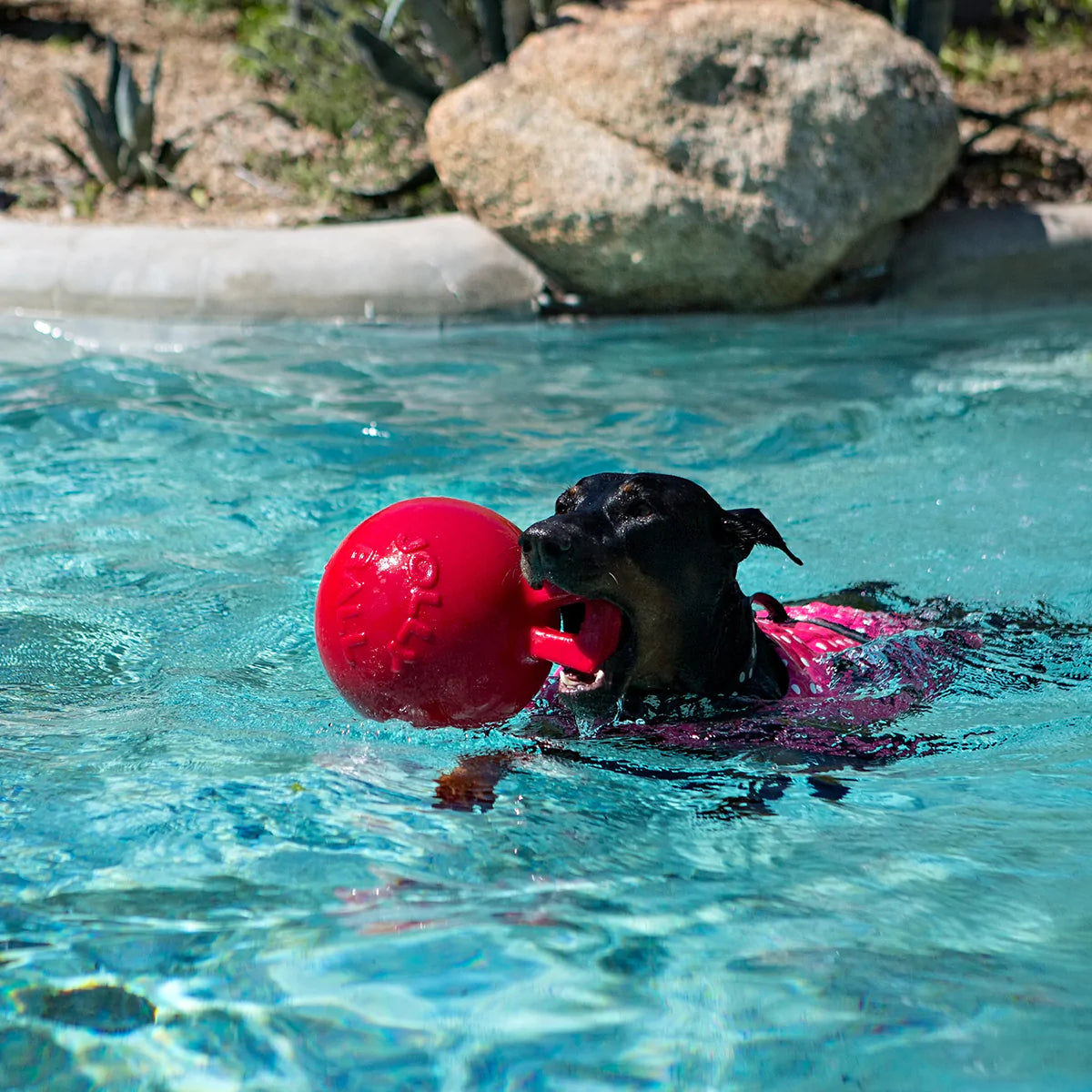 JOLLY PETS TUG N TOSS BALL 6"