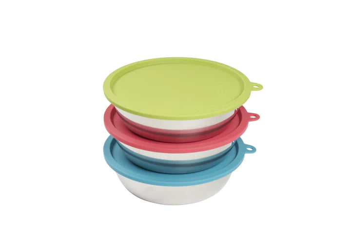 Messy Mutts Raw 6pc Set