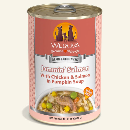 Weruva Jammin' Salmon with Chicken & Salmon in Pumpkin soup Wet Dog Food