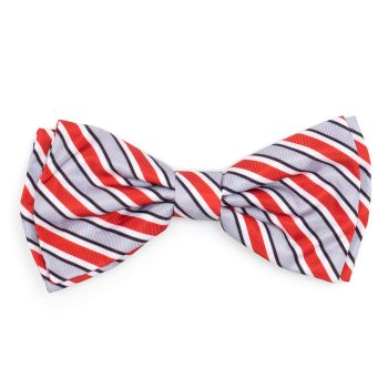 The Worthy Dog Ohio State Helmet Stripe Bowtie