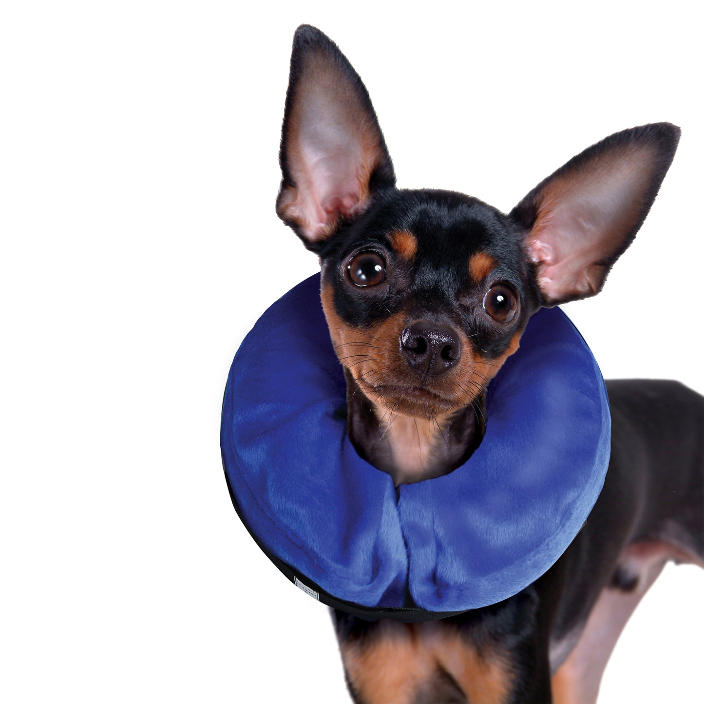 Kong Cloud inflatable collar XS 6-8"