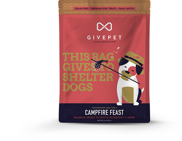 GIVEPET Campfire Feast Crunchy Dog Treats 11 oz