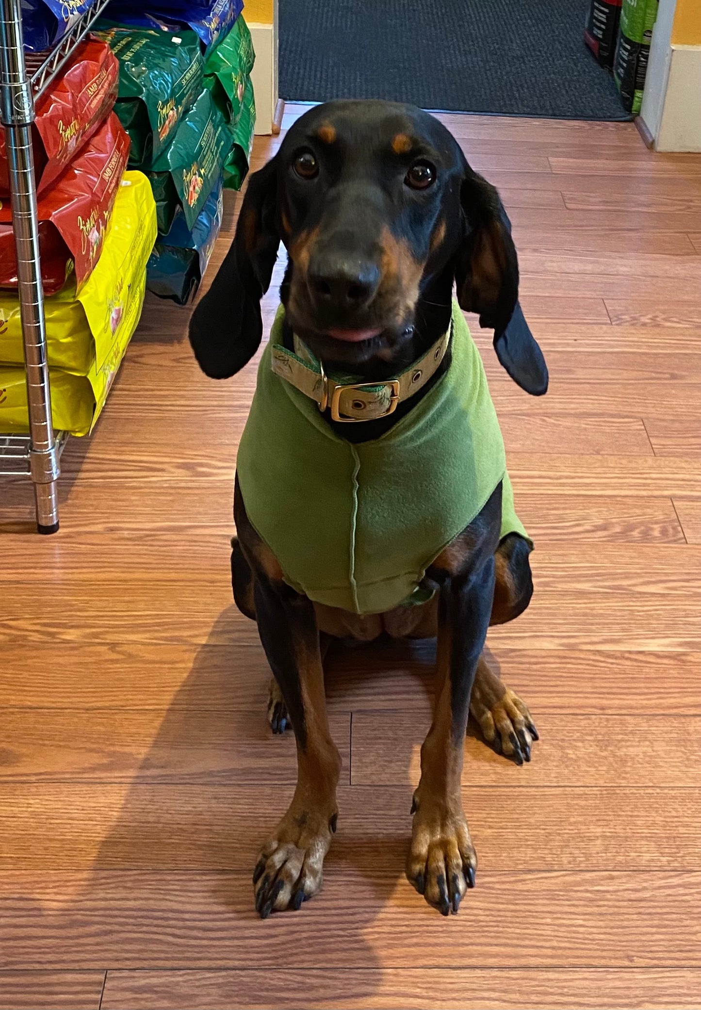 Goldpaw Stretch Fleece SOLIDS -Sizes ( 2-8 )