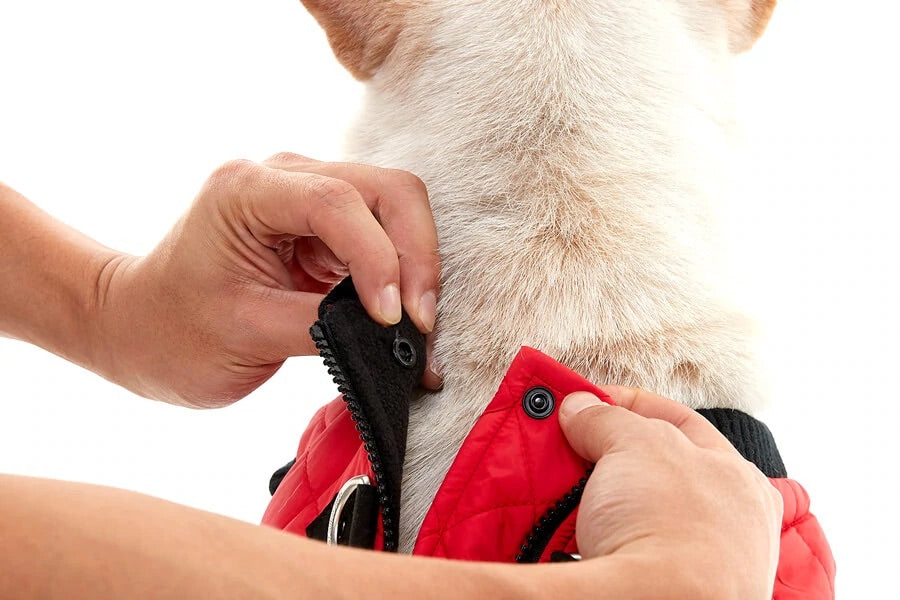 Gooby Fashion Vest