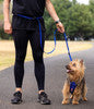 EzyDog Road Runner LITE Leash