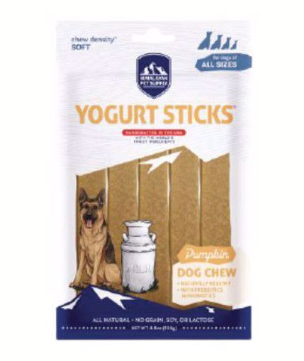 Himalayan pumpkin yogurt stick