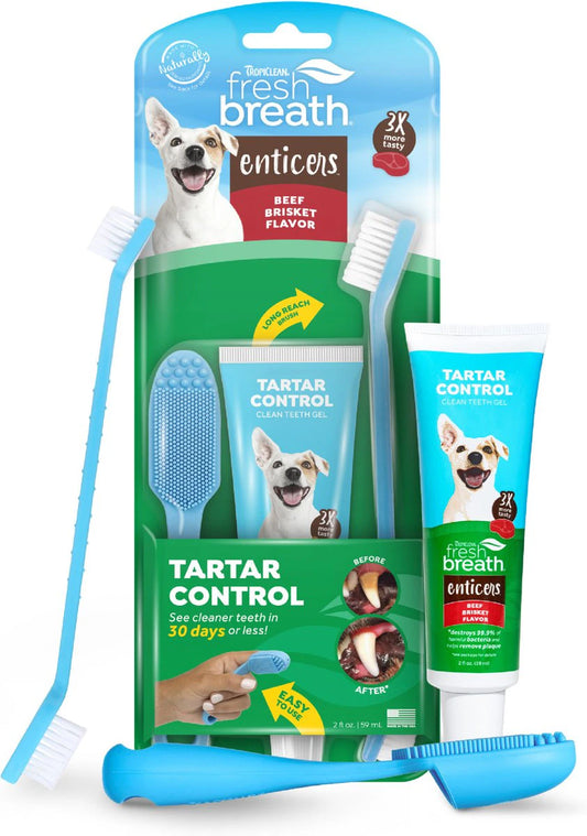 Tropiclean dog enticer kit beef brisket flavored