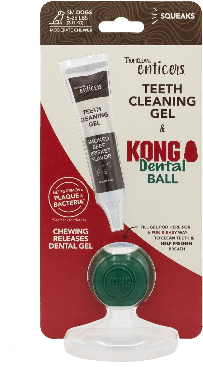 Tropiclean dog enticers dental ball beef brisket flavored