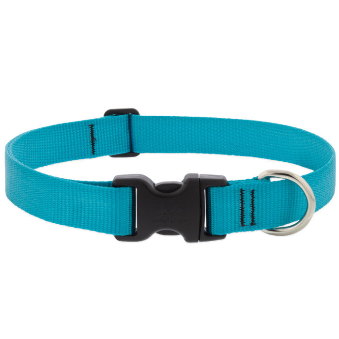 Lupine Basics 1"  12"-20" Dog Collar
