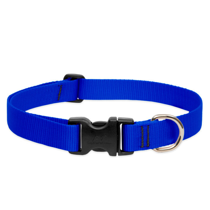 Lupine Basics 1"  16"-28" Dog Collar