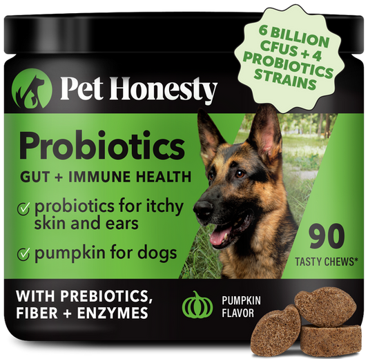 Pet Honesty Probiotics Gut & Immune Health Soft Chews Pumpkin Dog