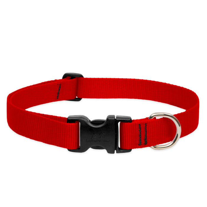 Lupine Basics 1"  12"-20" Dog Collar