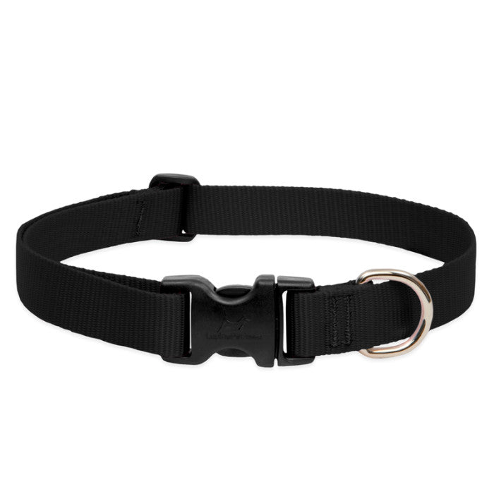 Lupine Basics 3/4"  9"-14" Dog Collar